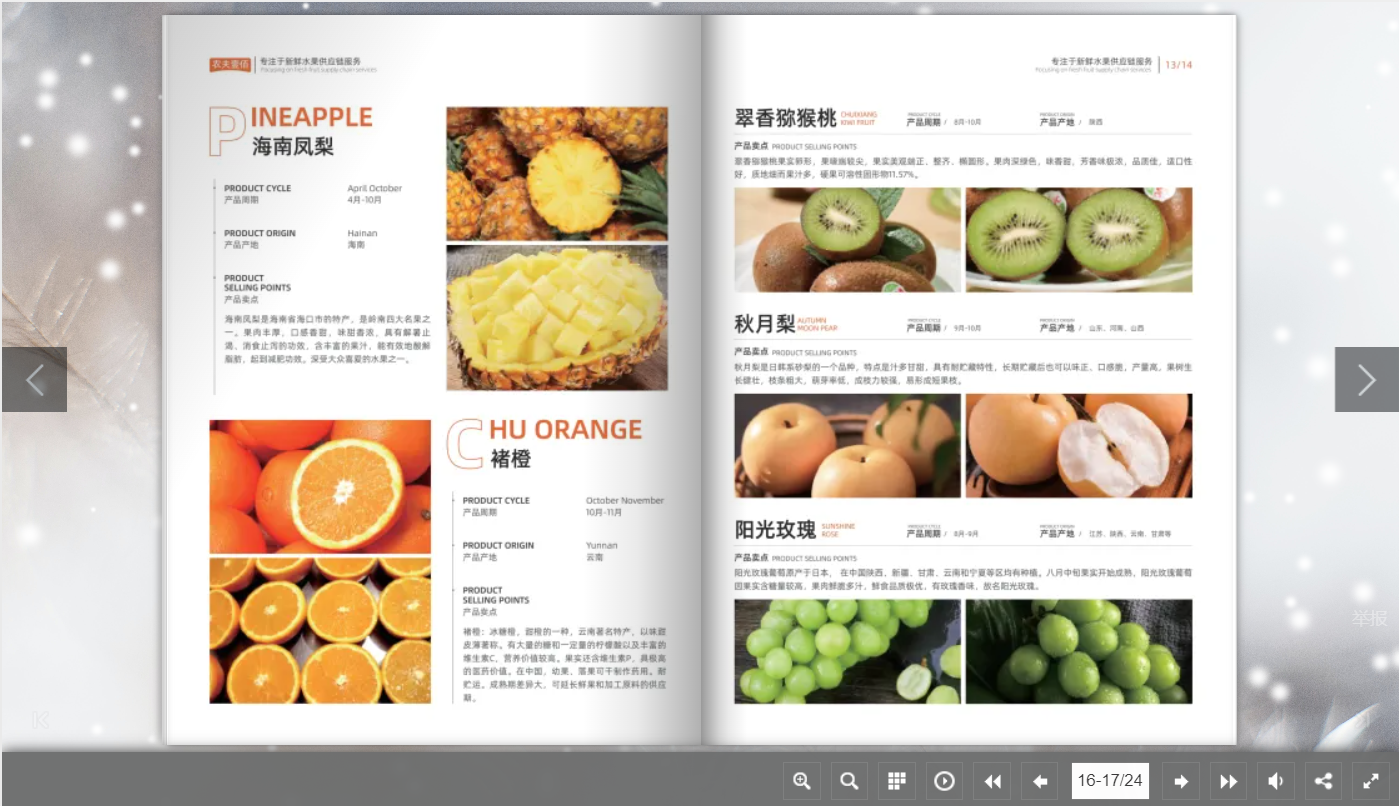 招商宣傳冊設(shè)計